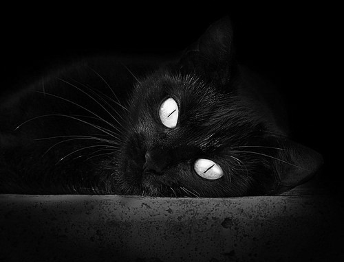 曼城客场挑战切尔西,强强对话谁将获胜?,曼城与切尔西比赛结果