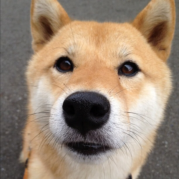 足球亚洲杯分组抽签结果出炉,亚洲杯抽签分档