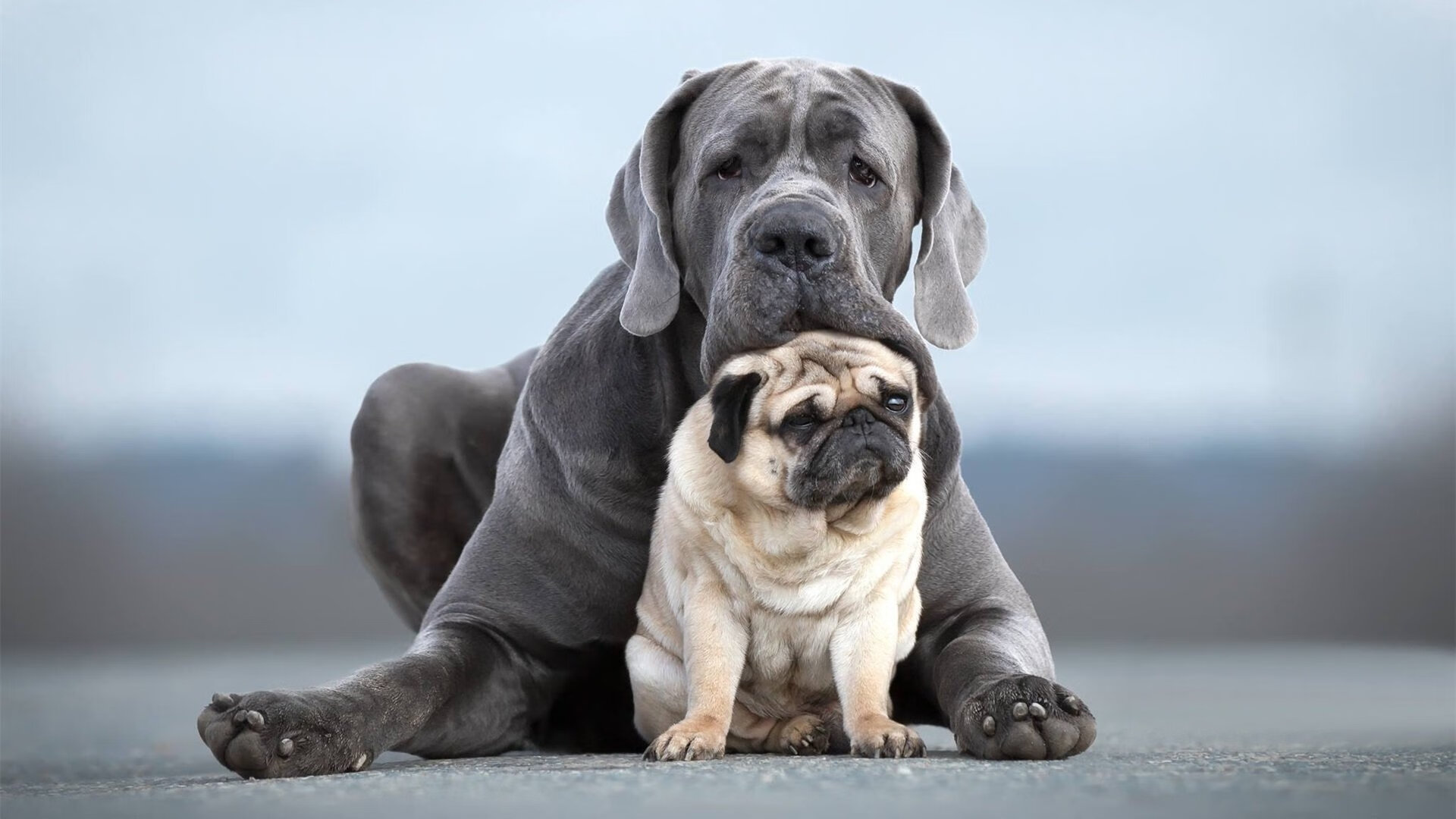 防线整齐作战,硬核防守令人惊叹,防线形势怎么看,防线工作怎么干