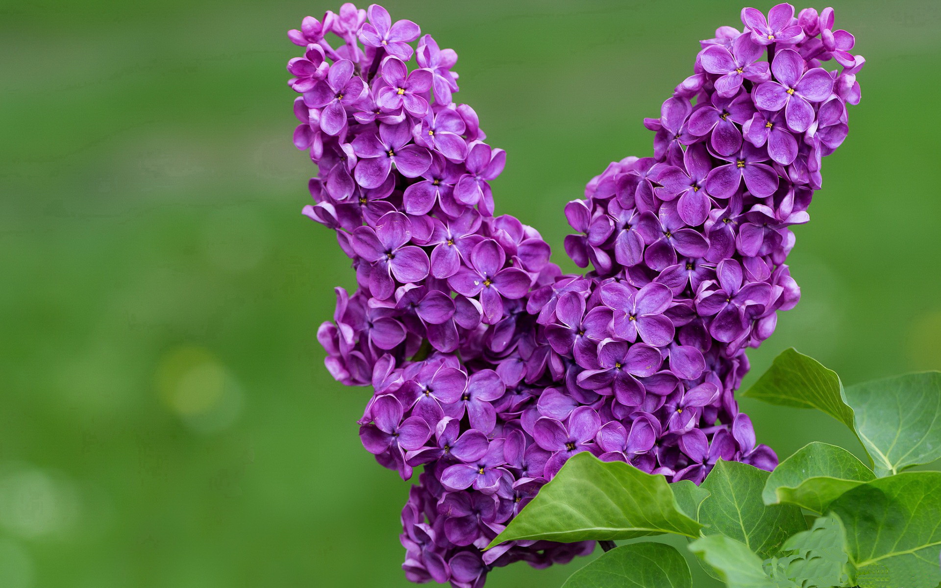 NBA球员赛季表现数据挖掘,nba本赛季球员得分榜最新排