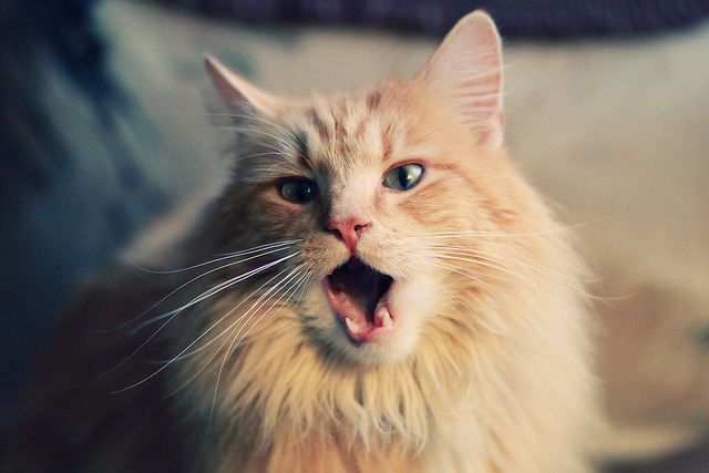 AYX官网-大学生体质健康水平长期跟踪机制与数据管理，大学生体质健康现状