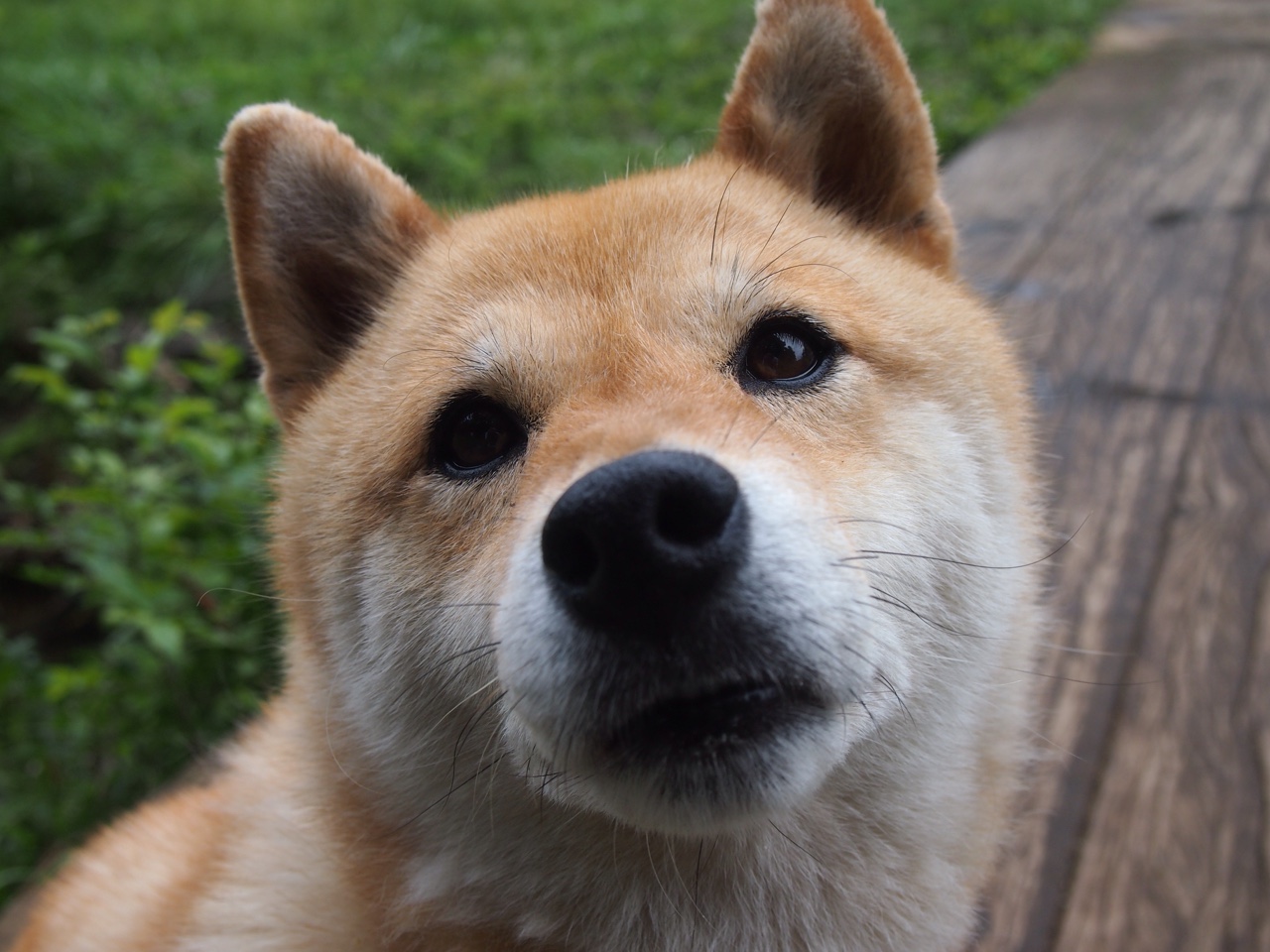 法甲球队基于实时运动图谱优化球队阵型移动路径,法甲球队最新关系