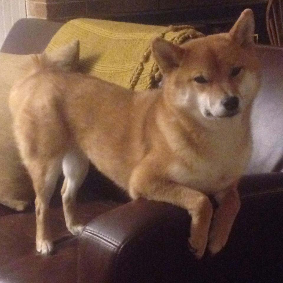 三分大战与内线突击谁更胜一筹,nba三分大战