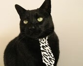 爱游戏体育（AYX）官方APP下载-亚洲杯中国青年队战胜 球员表现备受认可，中国队亚青赛冠军