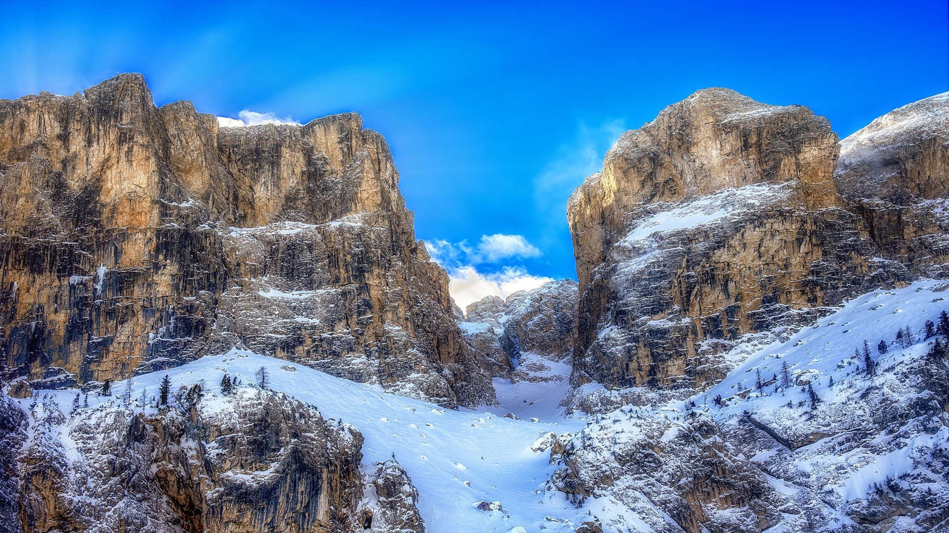 波兰队赛制深度分析:赛制下的技术与战术应用,波兰队阵型