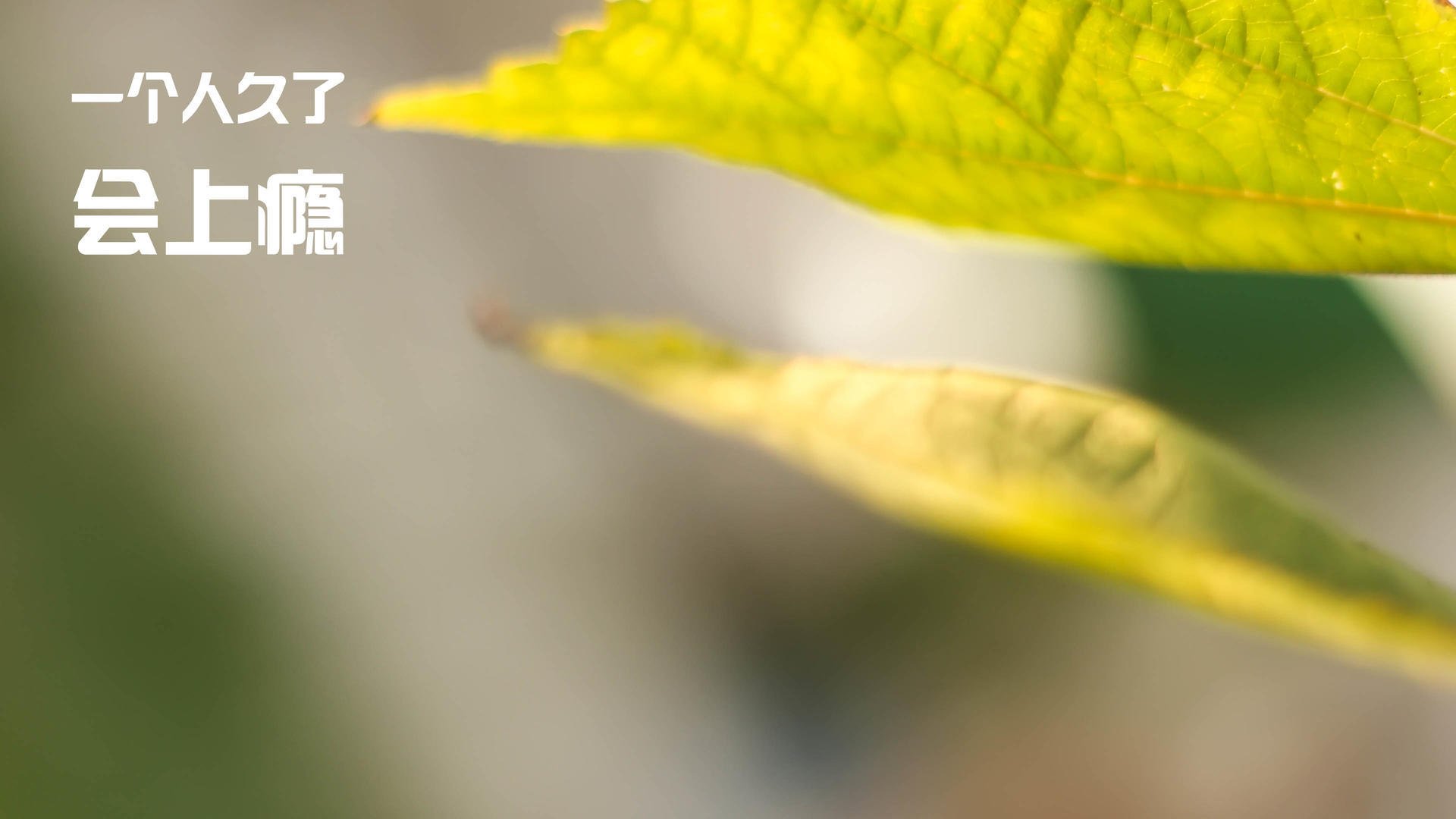 西班牙男队选手心理素质稳定,西班牙 队员