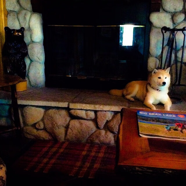 青训教练人才评价体系是否权责清晰,青训师认证训练营