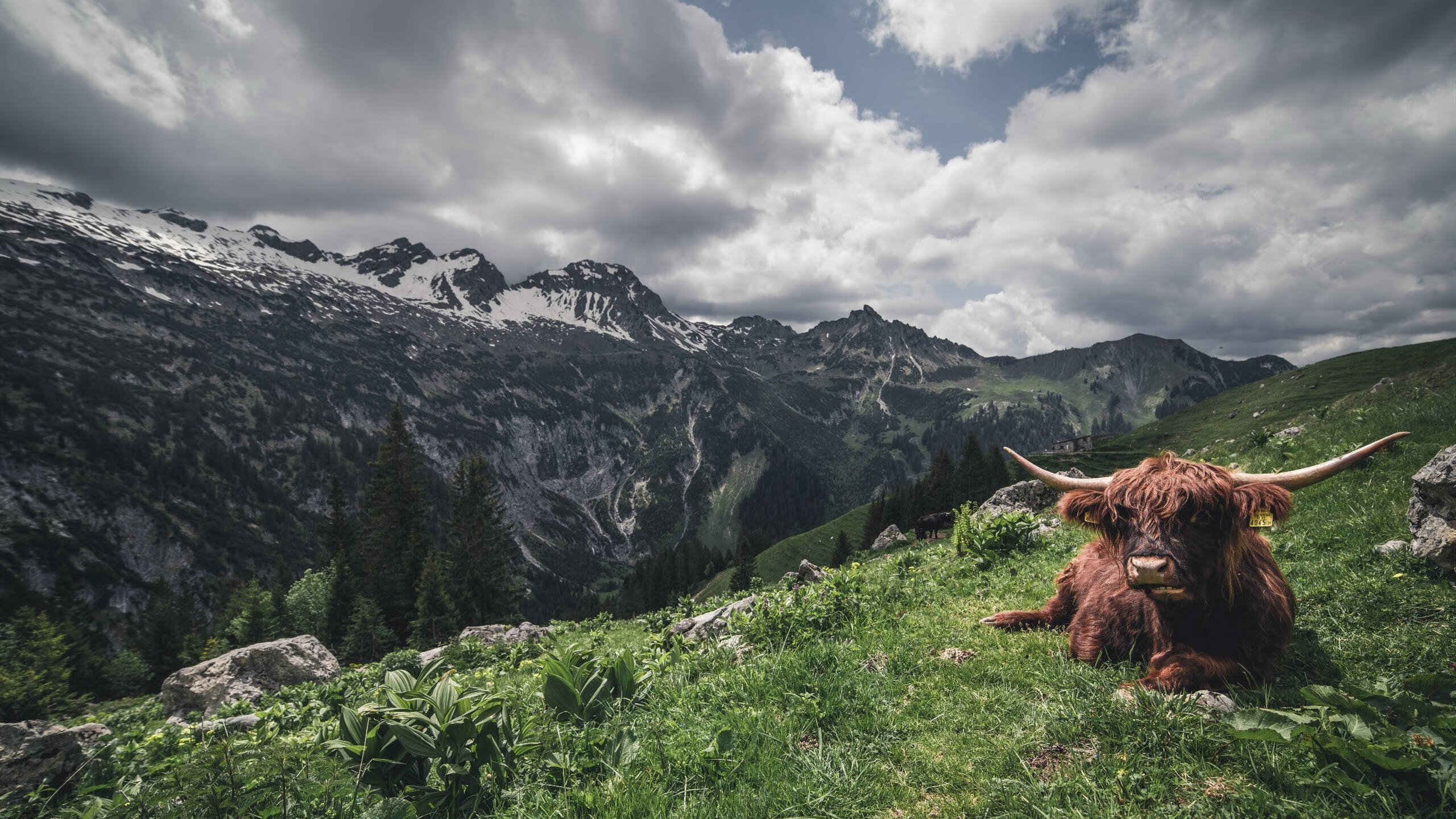 爱游戏综合娱乐-国家体育科研中心公布新运动伤病数据库开放权限，国家体育总局运动康复中心