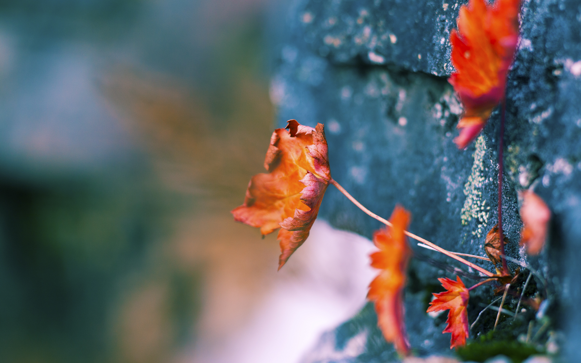 尼克斯锋线组合效率不佳急需调整,尼克斯首发中锋