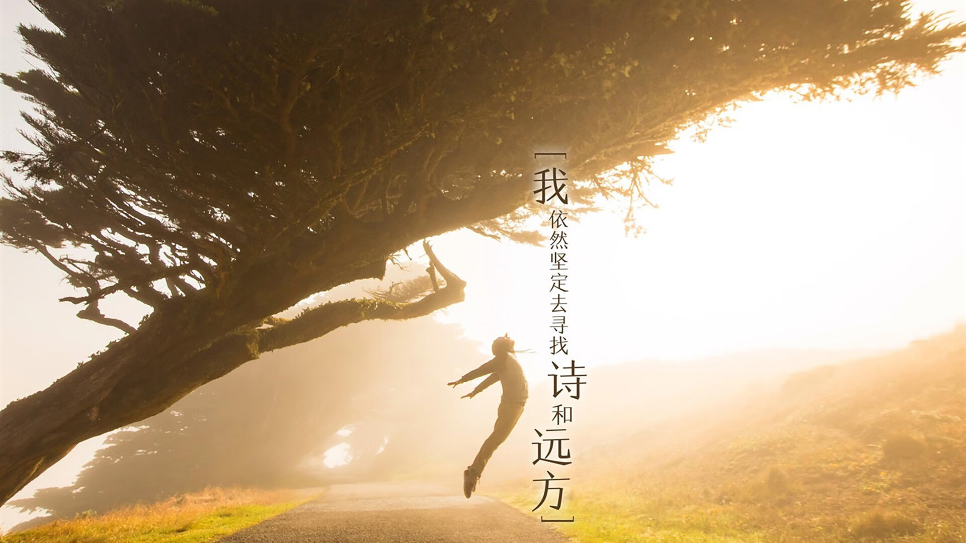 爱游戏-爱尔兰女子橄榄球职业化加速发展，爱尔兰运动员