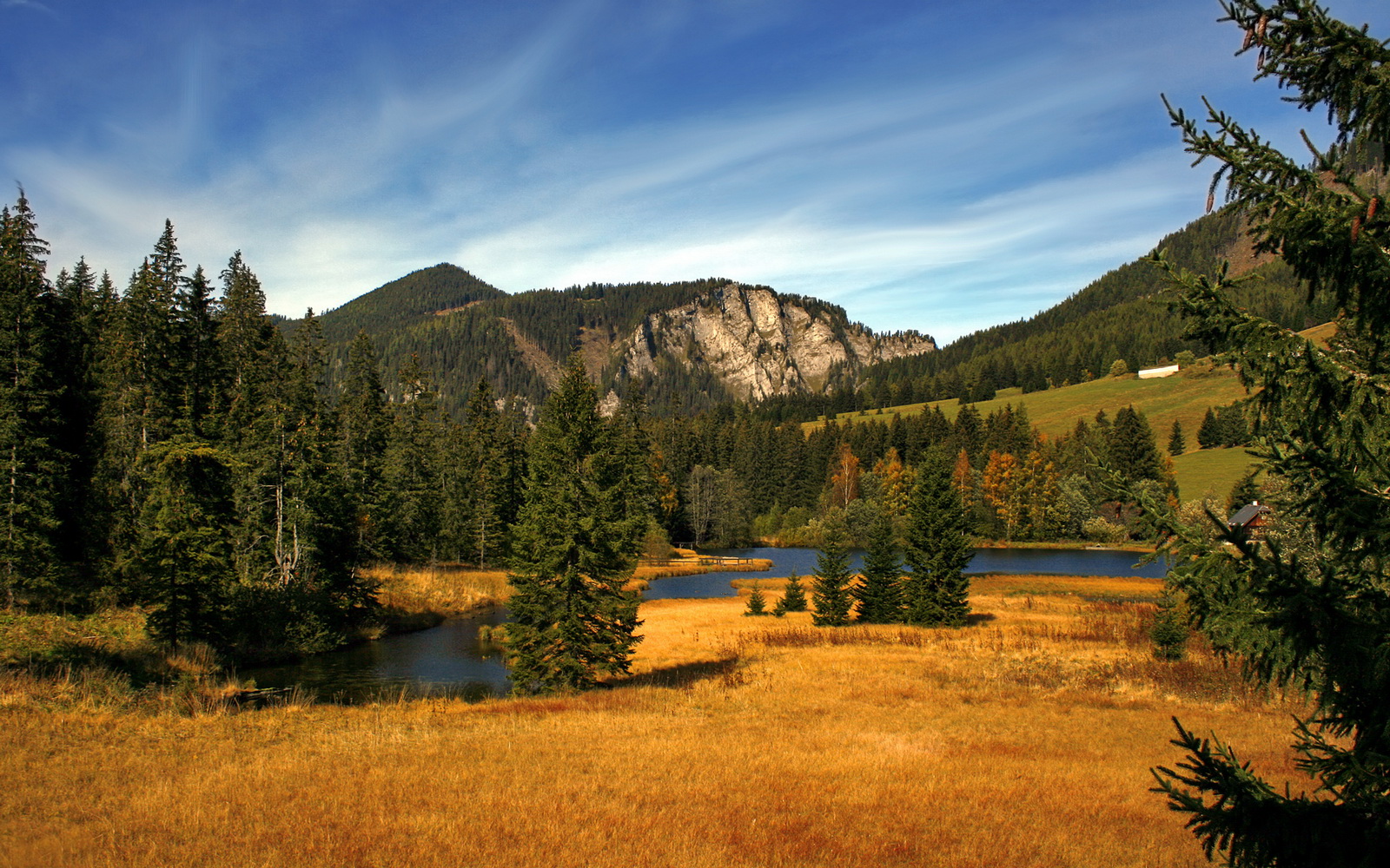 美洲杯明星纷纷亮相:拼搏、突破,点亮绿茵场,美洲杯人气