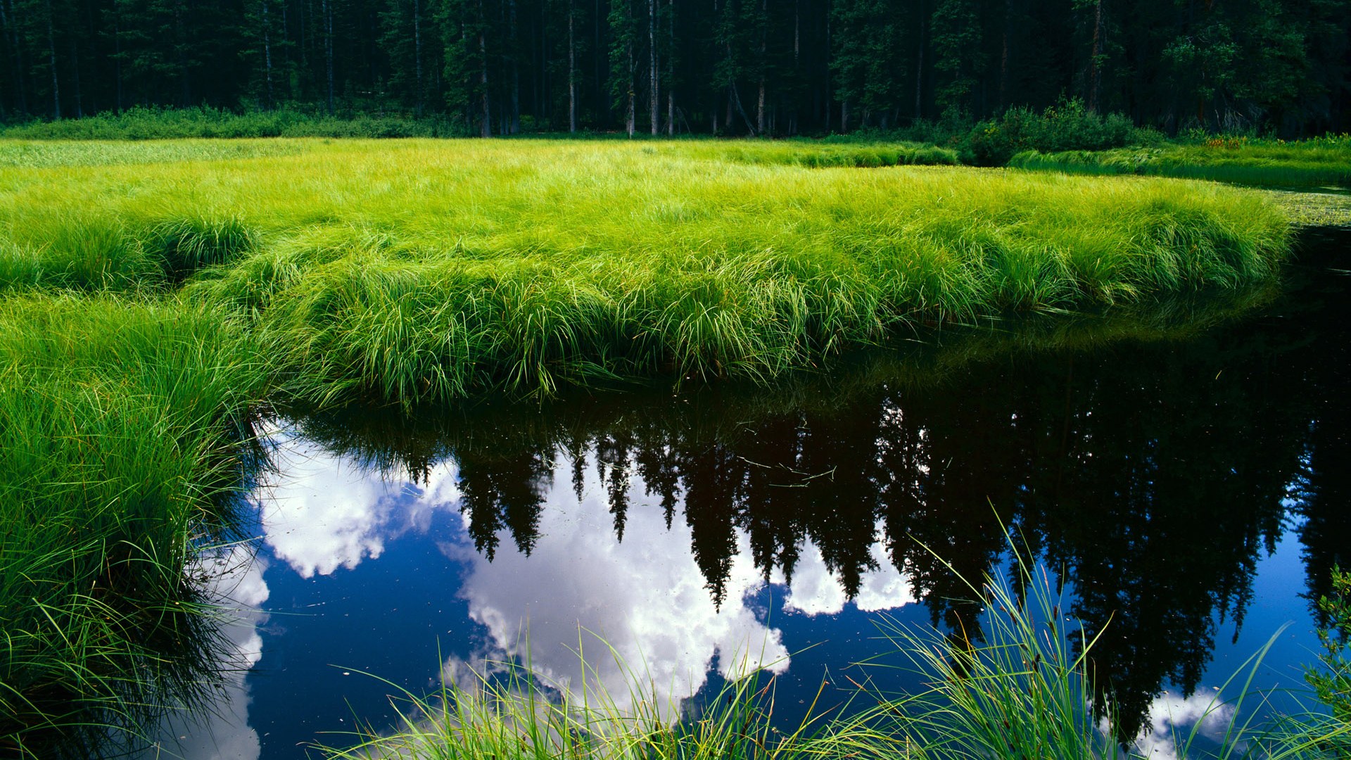 荷兰队在欧洲预赛中持续出色表现，晋级希望增强