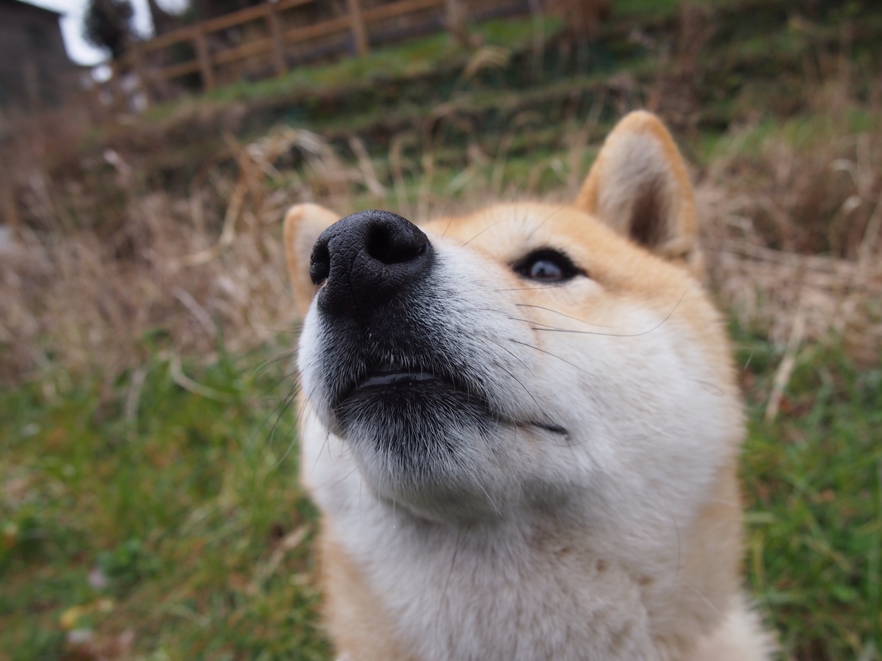 爱游戏综合娱乐-跳水赛场吉尔吉斯斯坦完成高难度动作，吉尔吉斯斯坦选手